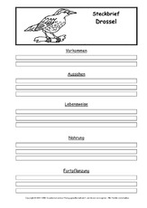 Steckbriefvorlage-Drossel.pdf